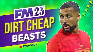 More Cheap BEASTS You NEED To Sign In FM23  Football Manager 2023 Best Players [upl. by Nauqe]