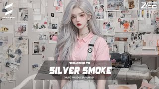 MIXTAPE SILVER SMOKE REMIX 2024  BIRTHDAY SEX REMIX  NHẠC DỌN NHÀ ĐÓN TẾT 2024 [upl. by Shippee]