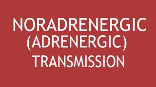 NoradrenergicAdrenergic Transmission by Dr Shikha Parmar [upl. by Spark]