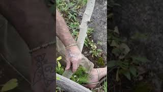 Using A Copper Axe Head To Fell A Tree bushcraft survival otzi primitivetechnology donnydust [upl. by Drahsar]