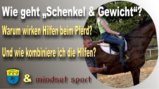 Reiten lernen  So wirken Schenkel und Gewichtshilfen [upl. by Fesuy841]