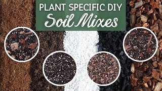 The Perfect Soil by Plant Type  Custom Soil Mix  Houseplant Soil Mix [upl. by Erehpotsirhc]