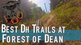 Forest Of Dean  Verderers Trail [upl. by Daffi]