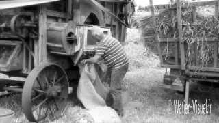 Vieux métiersAgriculture dautrefoisfête des battagesPaysannerieBattage à lancienne [upl. by Annaynek]