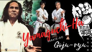 YamaguchiHa Gojukai KarateDo [upl. by Oyr]