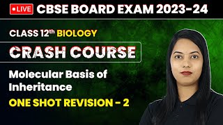 Molecular Basis of Inheritance  One Shot Revision Part 2  Class 12 Biology Crash Course Ch 5 [upl. by Analos]