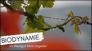 Biodynamische Landwirtschaft im Weingut Alois Lageder [upl. by Cini597]