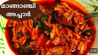 സൂപ്പർ ടെസ്ററിൽ ഒരു മാങ്ങാഞ്ചി അച്ചാർ Achar recipe Malayalamhow tomake acharRaneeshas cooking [upl. by Euqinay]