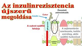 Az inzulinrezisztencia újszerű megoldása  Dr Nagy Tamás [upl. by Abramo]