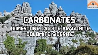 Lecture 6 Carbonates Limestone Calcite Aragonite Dolomite Siderite geology sedimentaryrocks [upl. by Novaj]