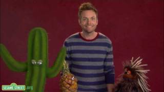 Sesame Street Joel McHale demonstrates the word quotPricklyquot [upl. by Meekahs]