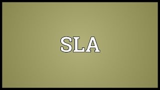 SLA Meaning [upl. by Oramlub]