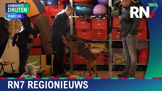 Feestelijke hondentraining voor mentale welzijn  RN7 REGIONIEUWS [upl. by Lurlene]