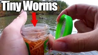 Fishing with Tiny Artificial Worms  Bluegill amp Berkley GULP Alive [upl. by Aivilo]