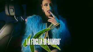 Stefano Priolo  La foglia di bambu Video Ufficiale 2023 [upl. by Nylirek]