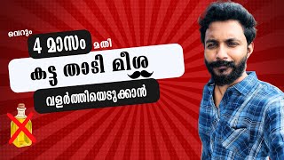 ഇനി വെറും 4 മാസം കൊണ്ട് താടി വളർത്താം  A Premium Beard Oil Result [upl. by Bernat]