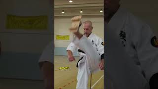 Le ciabatte giapponesi usate per allenare il karate [upl. by Adore261]