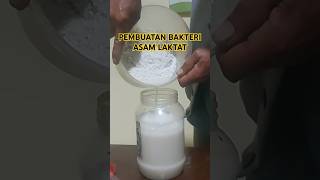 Pembuatan Bakteri Asam Laktat [upl. by Podvin901]