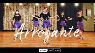 라인댄스고급반 Arrogante Line Dance  아로간테 라인댄스 [upl. by Jimmy]