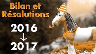 BILAN 2016 ET RÉSOLUTIONS 2017 [upl. by Louanna]