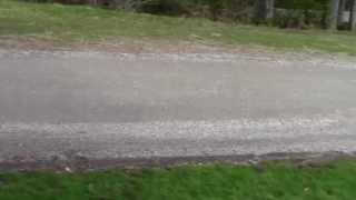 What is the best gravel for driveways and paths Peninsula Landscape Supplies [upl. by Eiro]