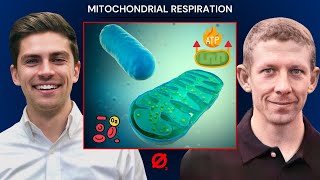 Maximize your mitochondria for better endurance performance  78  Fast Phys 23 ft Dave Schell [upl. by Adrian]