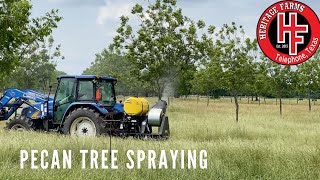 How to Spray Pecan Trees Terminator Sprayer Pecan Orchard Management [upl. by Malchus18]