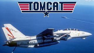 The F14 Tomcat The Ultimate Fleet Defender and the Grummans Ultimate Cat [upl. by Dewitt347]