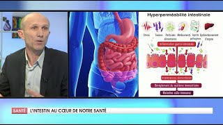 COMMENT LINTESTIN CONTRÔLE NOTRE SANTÉ [upl. by Nosdivad]