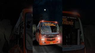 പുലിയും ആനയും ബസ് തടഞ്ഞുനിർത്തി  Muthanga Bandipur Mudumalai Forest Ksrtc Night Bus  free20 [upl. by Odracir]