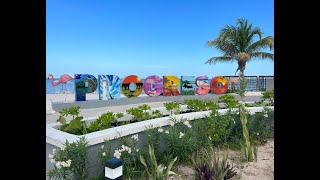 Progreso Mexico Cruise Port 5 Minute Review [upl. by Thamos307]