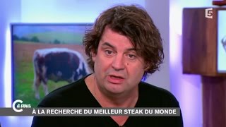 Steak Révolution et le paradoxe omnivore  C à vous  31102014 [upl. by Ranice]