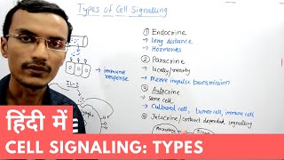 Types of Cell Signalling in Hindi [upl. by Hannala560]