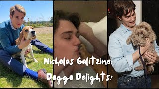 Nicholas Galitzine Doggo Delights ❤️🐶 [upl. by Eimorej604]