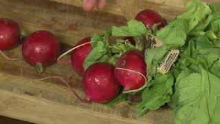 Ravishing Radishes for Tacos  Your Produce Man [upl. by Ytima]