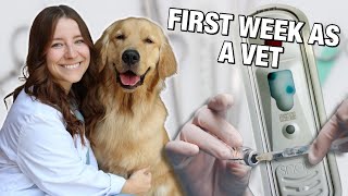 FIRST WEEK AS A VETERINARIAN 🐾 new grad vet vlog [upl. by Citarella]