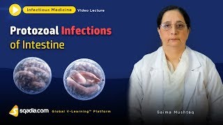 Protozoal Infections of Intestine  Clinical Medicine Video  VLearning  sqadiacom [upl. by Ayra922]