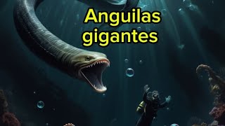 Criptozoología Anguilas gigantes [upl. by Lorrie]