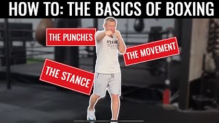 Basics of Boxing  Training for Beginners at Home [upl. by Orlena918]