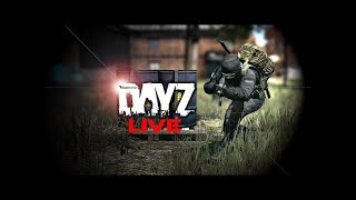 LIVE DAYZ  MELHOR SERVIDOR PVE RC [upl. by Annnora647]