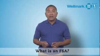 Understanding FSAs [upl. by Ezaria34]