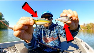 Lipless Crankbait Tricks You Need To Try  Stop Losing Fish [upl. by Herzig403]