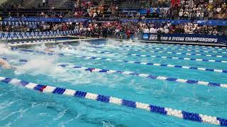 Men 200y Free Relay A Final NCAA 2024 [upl. by Aip]