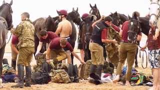 The Household Cavalry on Holkham Beach [upl. by Engdahl847]