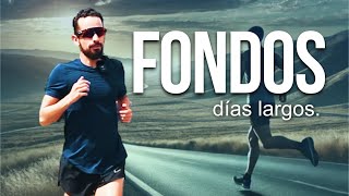 Así debes hacer tus ENTRENAMIENTOS LARGOS o de FONDO para MEJORAR en carrera ‼ [upl. by Bratton]