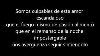 Babasónicos  Irresponsables con letra with lyrics [upl. by Joletta]