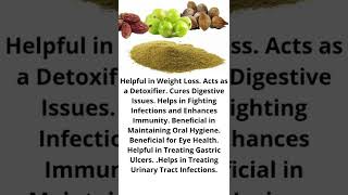 Triphala Benefits In English  Triphala In English  Triphala Churna triphala shorts [upl. by Ahselet460]