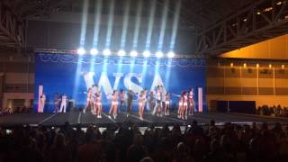 AllStar Revolution Freedom SMCOED5 [upl. by Nnyleuqcaj585]