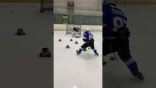 Hockey Dangles Using Anchor Various Moves Practice with GK [upl. by Leiva453]