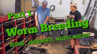 Worm Breeding for Beginners  Part 1 [upl. by Ivon]